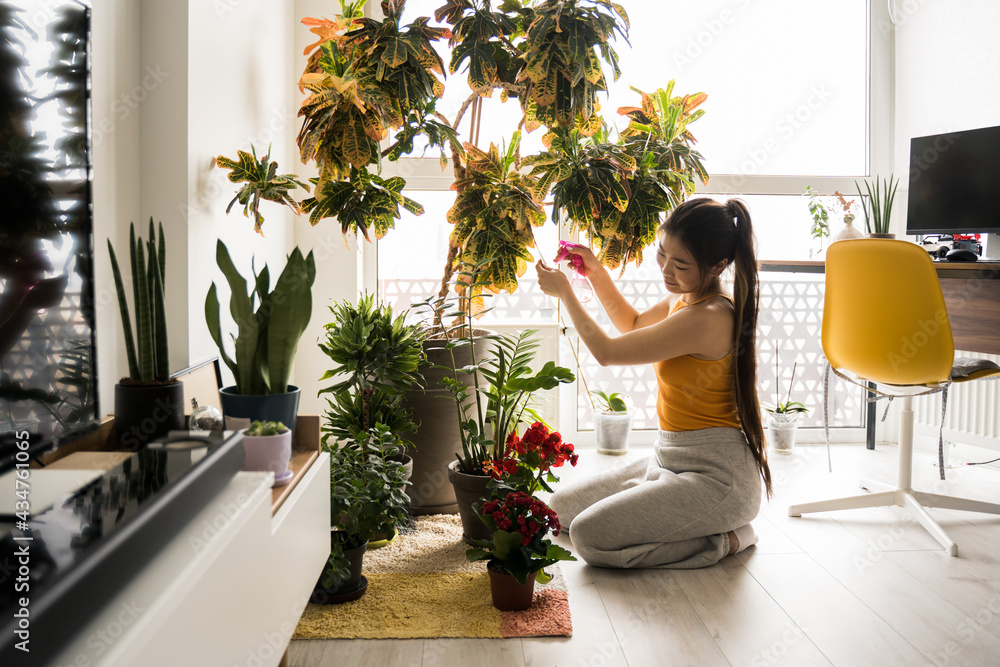 Woman sprays plants in flower pots while sitting at the floor Woman sprays plants in flower pots while sitting at the floor