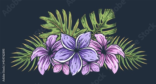 Tropic hawaii exotic plant for surfing tiki bar. Palm and monstera for tropical surf summer design