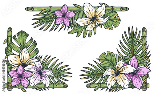 Tropic hawaii exotic plant for surfing tiki bar. Palm and monstera for tropical surf summer design