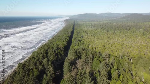 Beach forest Pacific Northwest Forks La Push Washington - 4k Drone Aerial photo