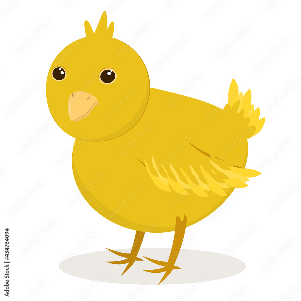 vector illustration of a yellow chicken isolated on a white background vector illustration of a yellow chicken isolated on a white background