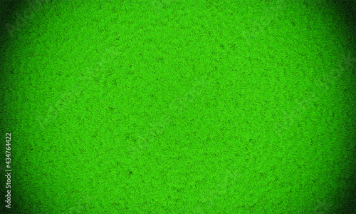 Green grass background vign...