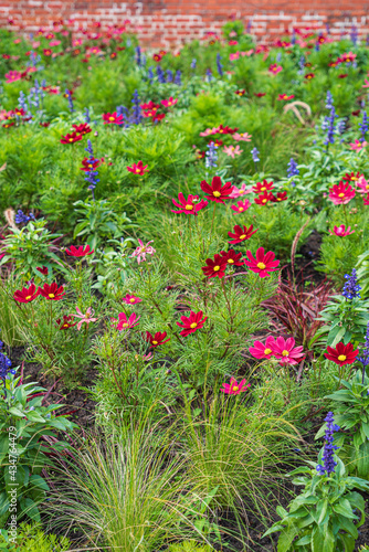 flowers on the urban park