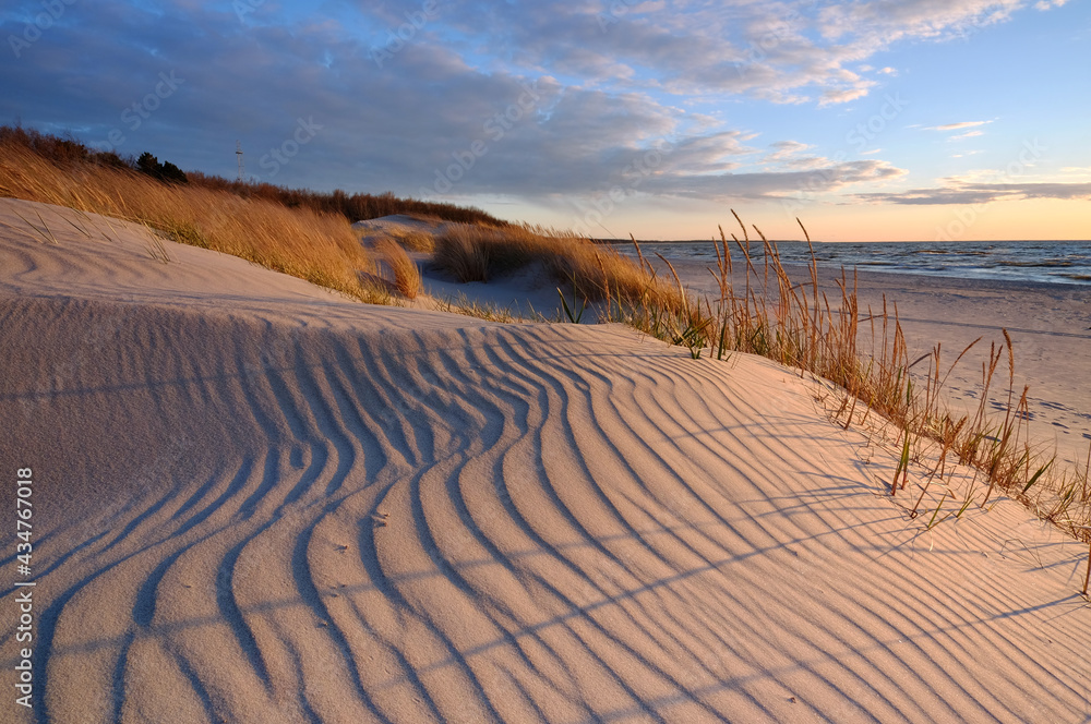 Fototapeta premium Wydmy na wybrzeżu Morza Bałtyckiego, plaża w Kołobrzegu, Polska.