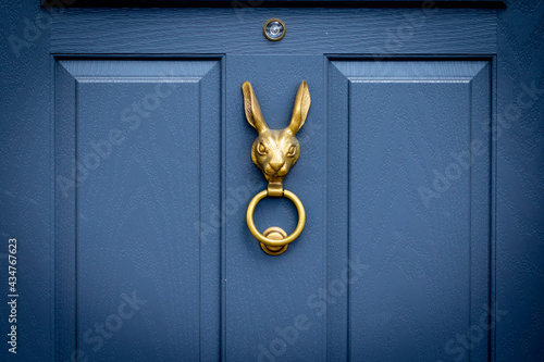Blue wooden front door with bronze rabbit head door knocker
