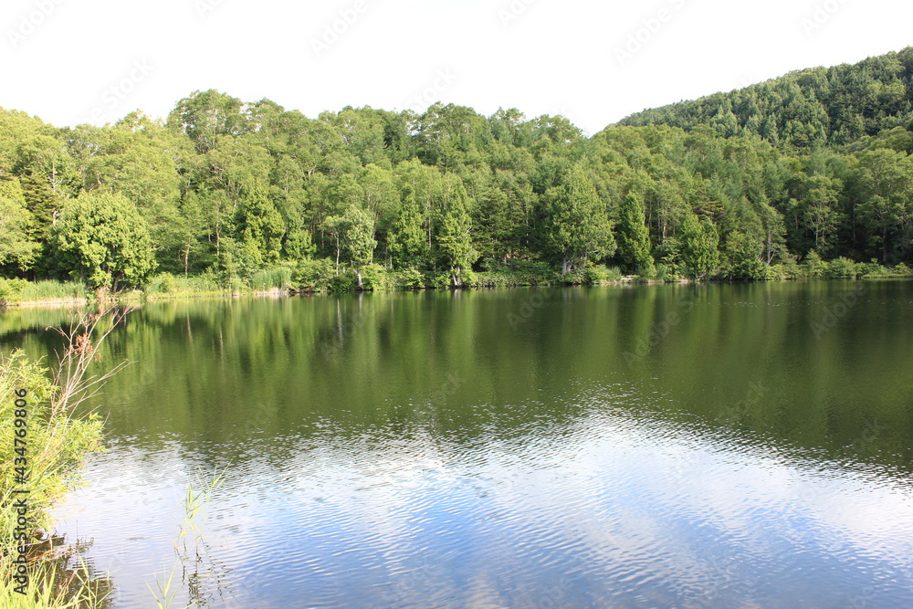 志賀高原の夏。木戸池。
