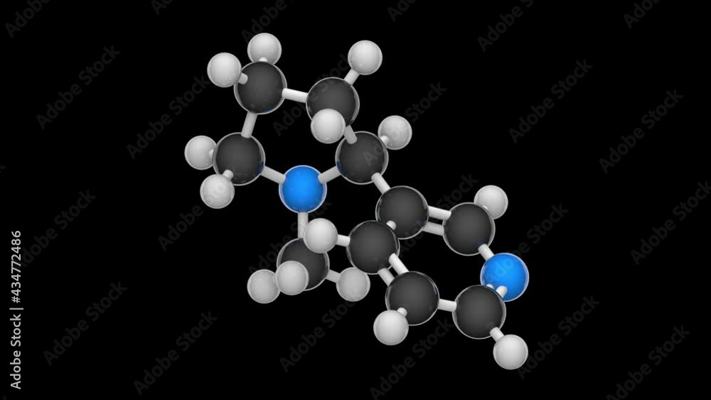 Nicotine (molecular formula: C10H14N2) is toxic alkaloid. Chemical structure model: Ball and Stick. 3D render. Seamless loop. Black background Nicotine (molecular formula: C10H14N2) is toxic alkaloid. Chemical structure model: Ball and Stick. 3D render. Seamless loop. Black background