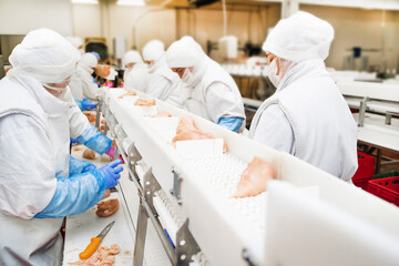 The meat factory. chicken on a conveyor belt.Group of workers working at a chicken factory - food processing plant concepts.