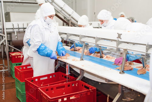 Factory for the production of food from meat.Industrial equipment at a meat factory.Automated production line in modern food factory.
