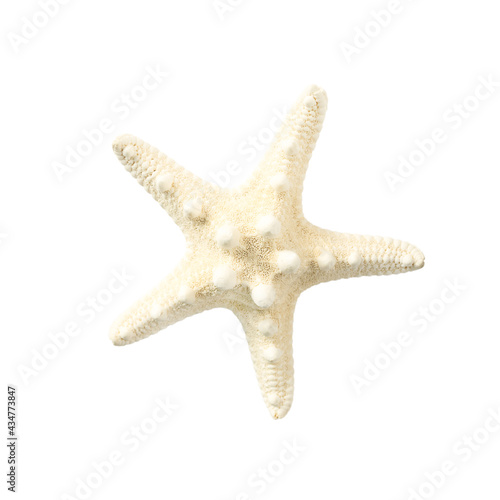 White sea star isolated on white background
