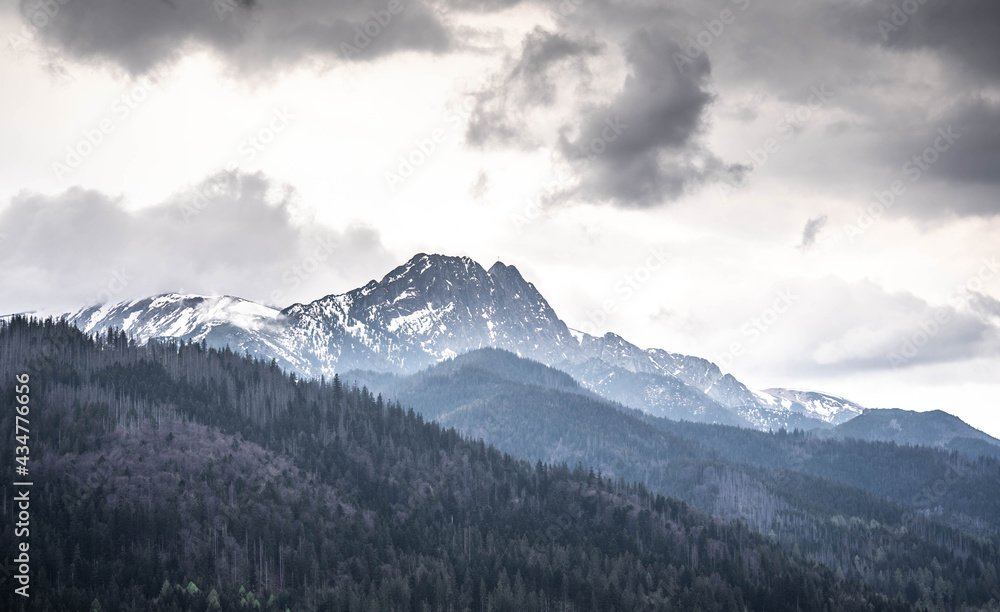 incredible view of the mighty snow-capped mountains, incredible wildlife