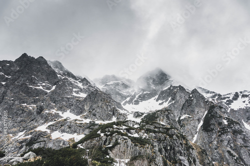 incredibly beautiful snow-capped majestic mountains, incredible wildlife © Olexandr