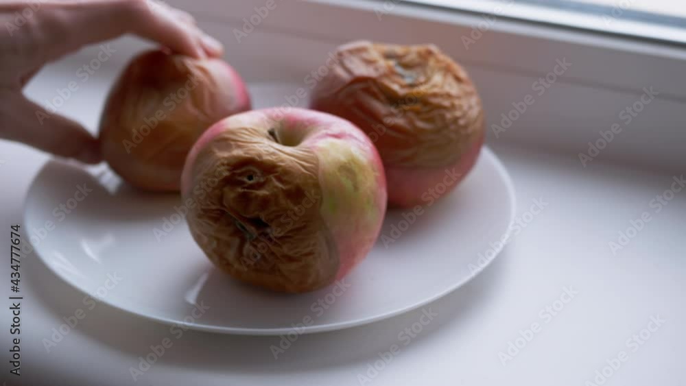 Female Hands Lays Out Three Rotten Apples on a Plate. Spoiled, rotten, and moldy fruits. The process of decay of apples from time. 4K. Close up.