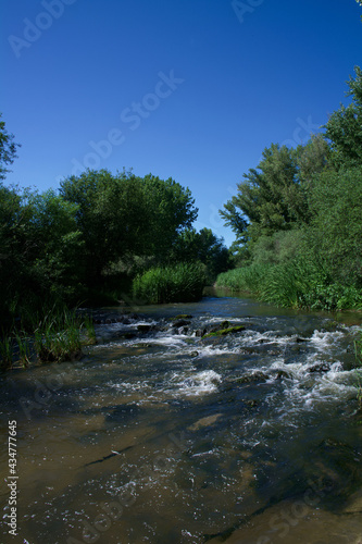 rzeka woda natura zieleń rośliny wiosna 