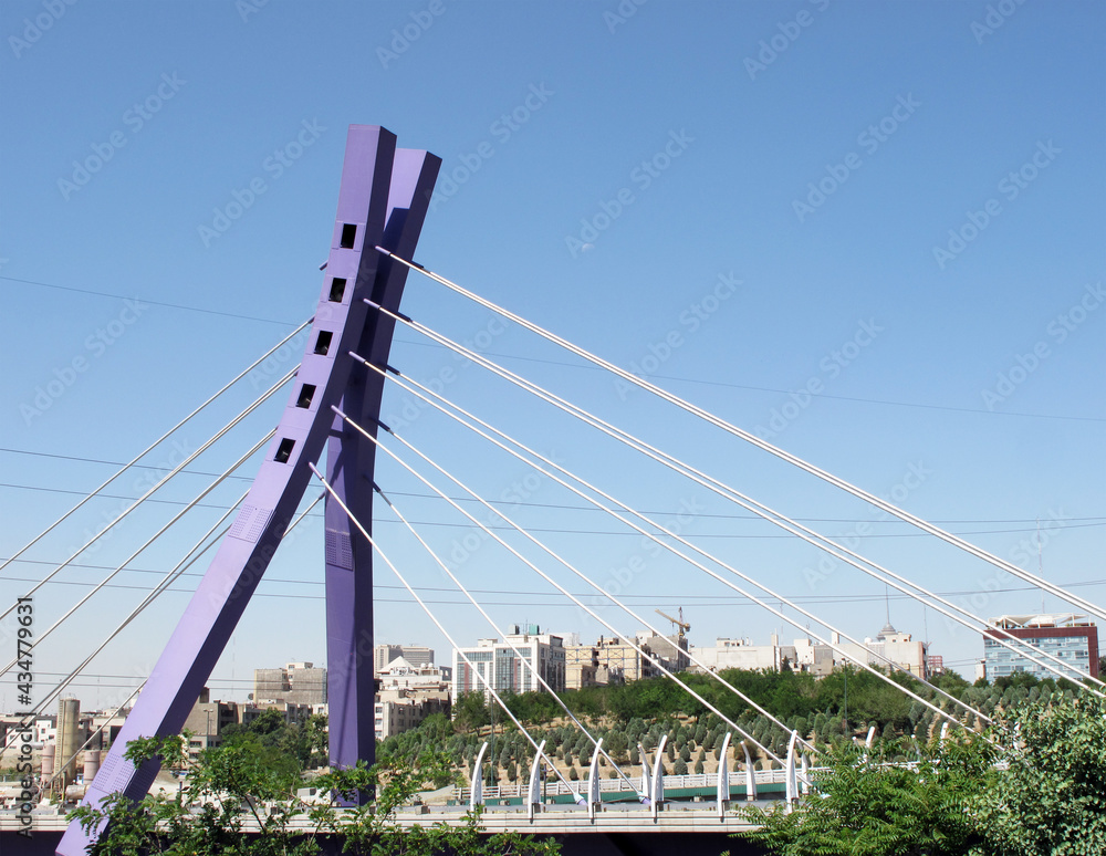 Obraz premium Abrisham cable-stayed pedestrian bridge in Ab-o-Atash park in Tehran, Iran