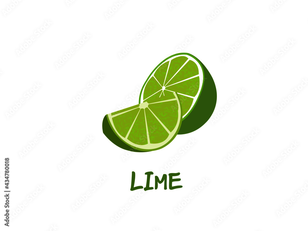Obraz premium vector isolated slice lime with sour taste illustration 