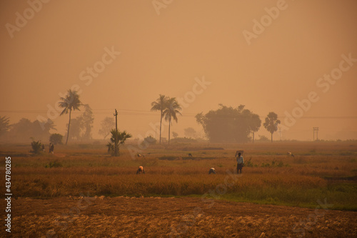 Farm land in India in the early morning. yellow vintage look