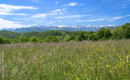Landscape of south west france with the Pyrenees mountains
