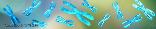 X chromosome, Chromosomes scientific background, banner, genome