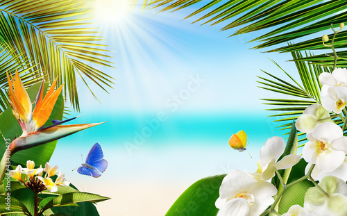 Tropical sandy beach with blurred sea tropical palm leaves, plants, flowers and butterflies