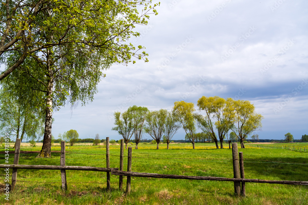 Obraz premium Krajobraz wiejski Podlasia, Polska