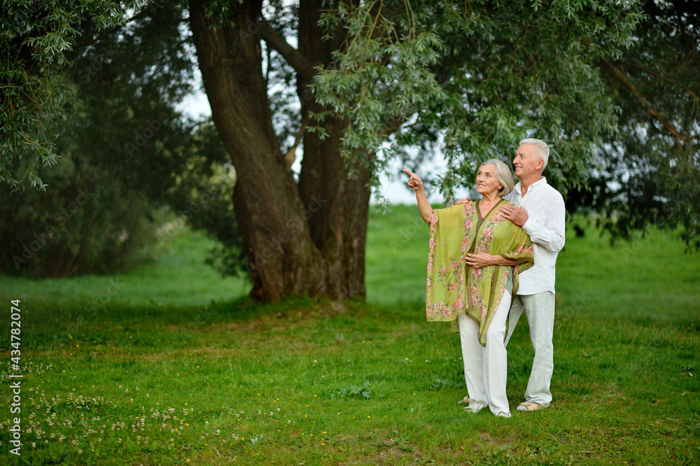 beautiful senior couple hugging in the park. woman pointing with finger beautiful senior couple hugging in the park. woman pointing with finger