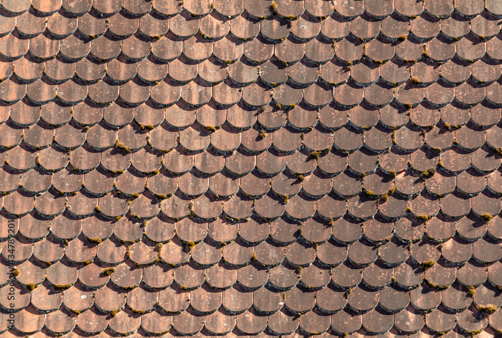 red tiles at the roof gives a harmonic background red tiles at the roof gives a harmonic background