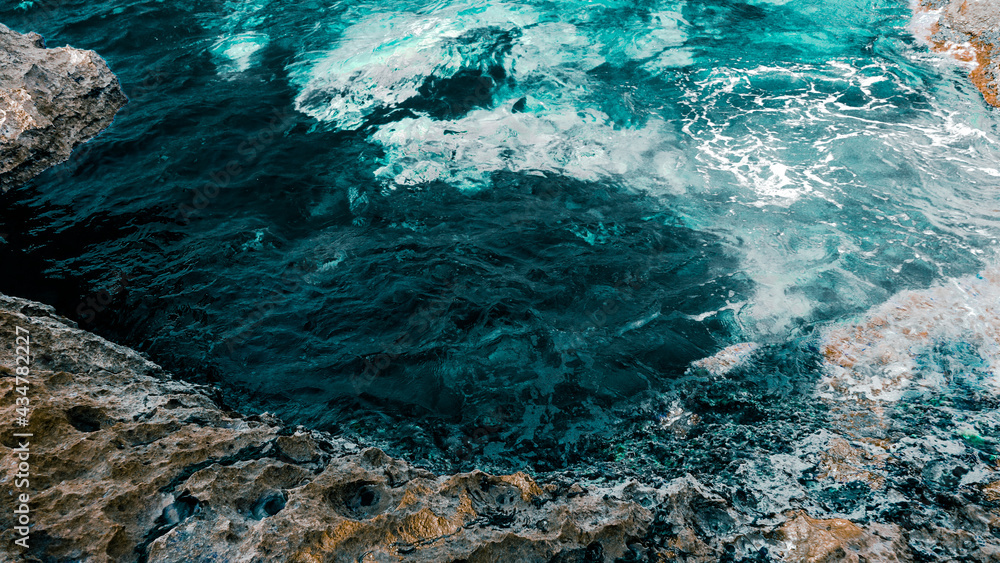 OCEAN MACRO PHOTOGRAPHY