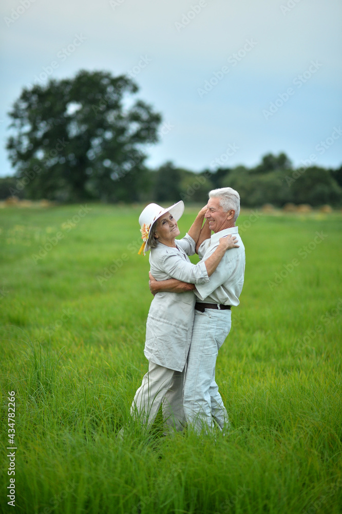 Happy senior couple dancing in summer park Happy senior couple dancing in summer park