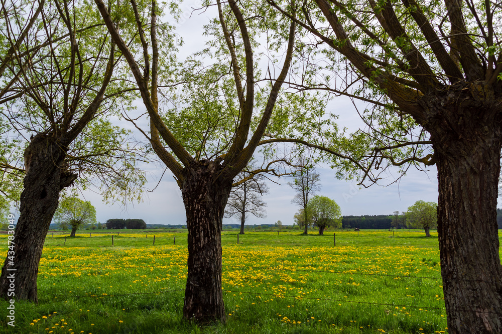 Krajobraz wiejski Podlasia, Polska Krajobraz wiejski Podlasia, Polska