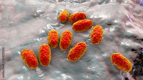 Whooping cough bacteria Bordetella pertussis, 3D illustration