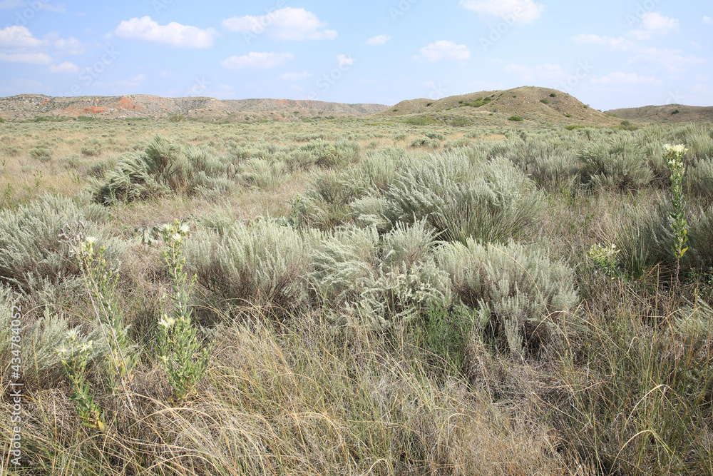 Arid landscape in western Texas, USA Arid landscape in western Texas, USA