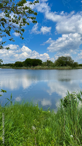 Beautiful view and landscape of the river and green trees on a sunny summer day.