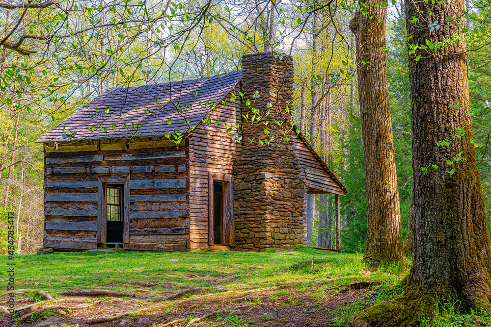 Fototapeta premium Smoky Mountains Pioneer Cabin