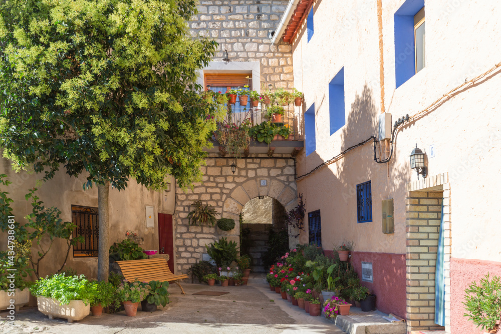 Fototapeta premium Beautiful corner with a stone facade adorned with Geraniums and other plants in one of the streets of Fuendetodos, the birthplace of the Spanish painter Francisco De Goya, Zaragoza, Spain