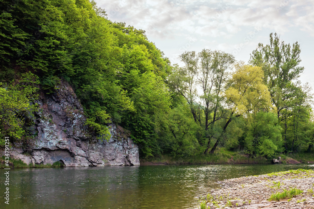 river flow under the rock. beautiful nature landscape in spring. deciduous trees on the shore