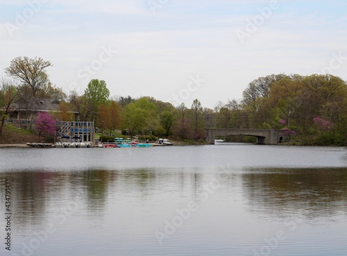 The peaceful lake in the park on a sunny spring day.