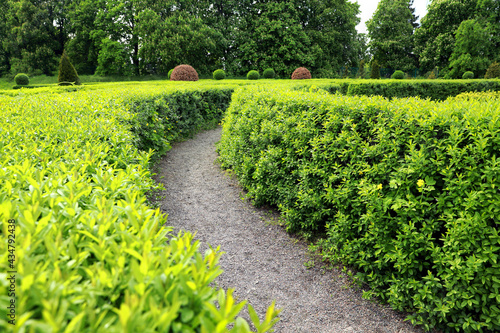 Schilderij op canvas Beautiful view of green hedge maze on sunny day
