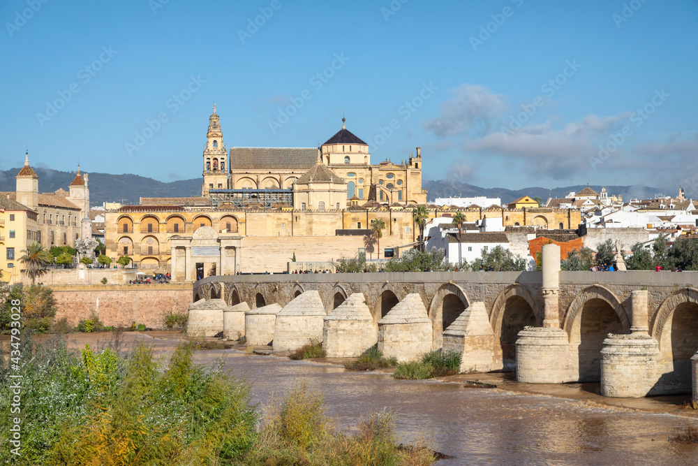 Puente Romano bridge and Mosque-Cathedral of Cordoba, Andalusia, Spain