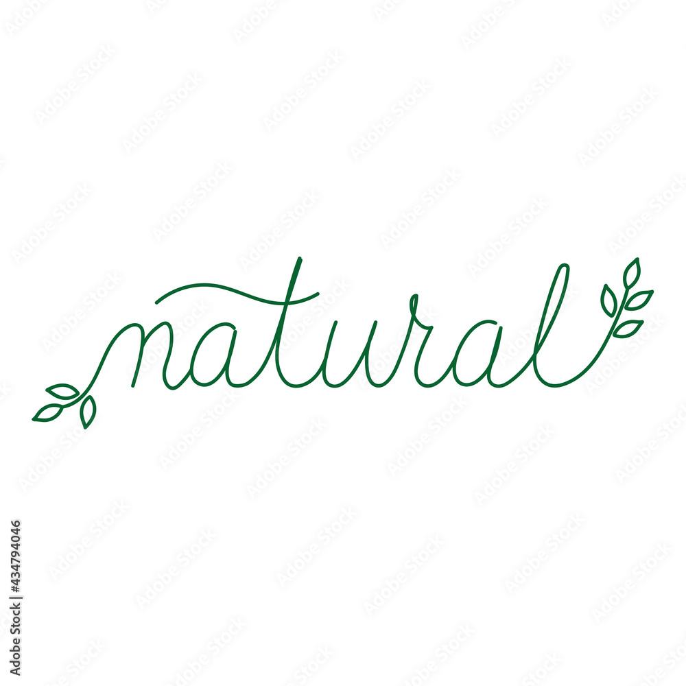 Hand drawn lettering Natural Product. Logo design template