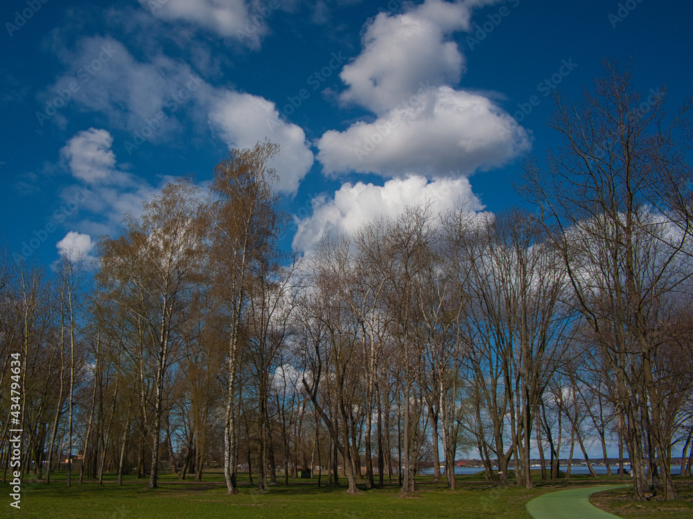 Obraz premium OLYMPUS DIGITAL CAMERA