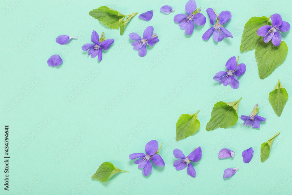 viola flowers with leaves on green background viola flowers with leaves on green background
