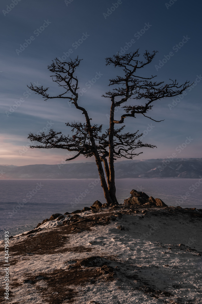 Winter evening on the shore of Lake Baikal Winter evening on the shore of Lake Baikal