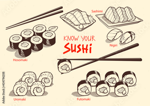 Japanese fresh food. Hand drawn vector illustrations of Sushi. Typical fresh sea food from japan- Sushi. 