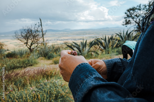 person sitting on the grass
