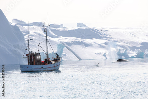 A boat swimming in arctic ocean with icebergs behind and with seagull and whale, Greenland