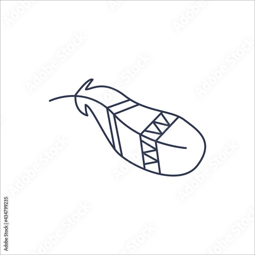 Decorative beautiful feather isolated on a white background. Boho style. Element of Indian tribes. Vector illustration