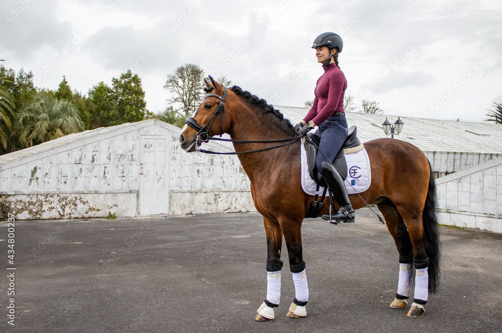 Obraz premium Dressage rider with her amazing Lusitano horse, Azores islands.