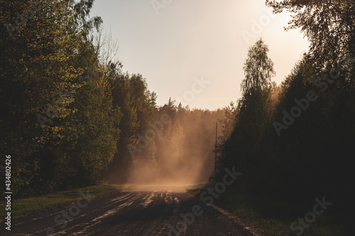 Foggy country road  leads through a forest  traffic concept  driving in dangerous weather  copy space  selected focus