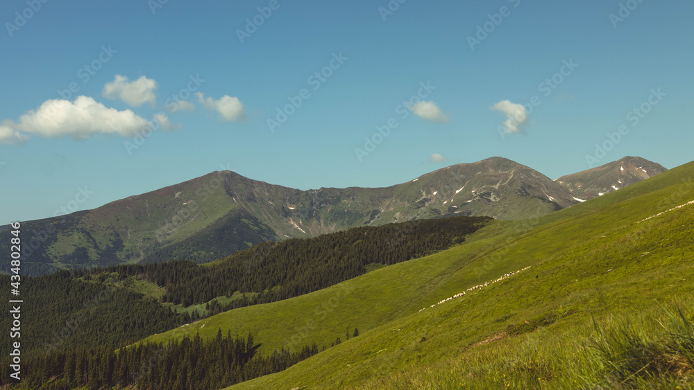 Fototapeta premium Muntii Rodnei - Varful Ineu